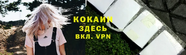 PSILOCYBIN Зеленодольск