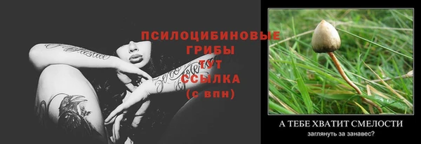 PSILOCYBIN Зеленодольск