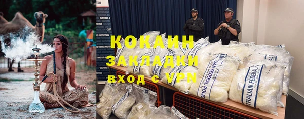 PSILOCYBIN Зеленодольск