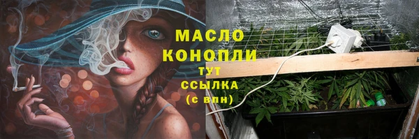 PSILOCYBIN Зеленодольск