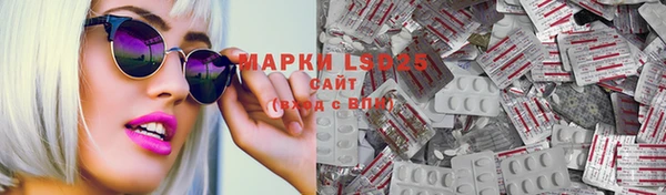 PSILOCYBIN Зеленодольск