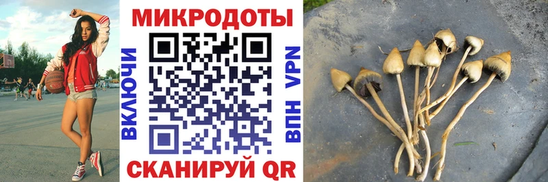 Галлюциногенные грибы Psilocybine cubensis  Купить закладки  Зубцов 