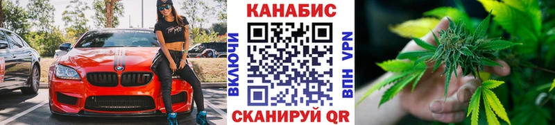 Купить  Зубцов  Марихуана планчик 